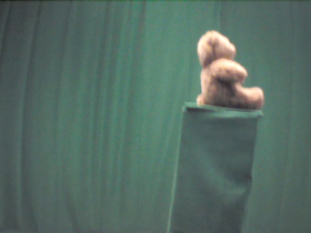 270 Degrees _ Picture 9 _ Brown Teddy Bear Wearing Red Bow.png